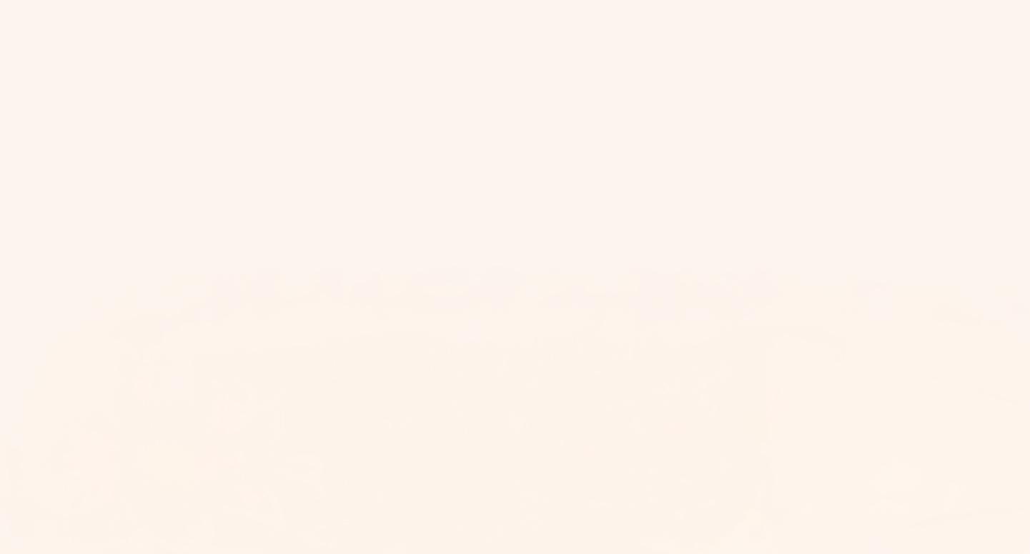 Mission Banner