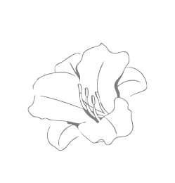 hand-drawn-honey